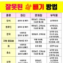 알파점핑