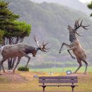유곡농원 이미지