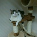 가온누리마켓 이미지