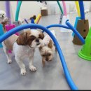 가야유치원 이미지