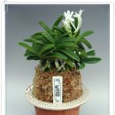 관암농장 이미지