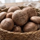 “고기 넣은 것보다 맛있다..” 부침가루 줄이고 쫄깃함 2배 살리는 표고버섯전 이미지