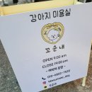 겸재로 263 | 7월 신규 오픈 | 비글 쩜순이의 힐링 미용 데이 🐾 애견미용샵 중랑구 ‘꼬순내’ 다녀왔어요.