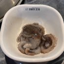 인천의 갯벌 이야기 이미지