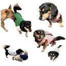 애니온동물병원 이미지