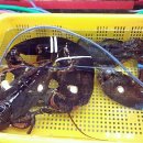 일성횟집 이미지