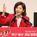 나경원 "당대표 되면 당명 바꿀 것…김종인 말 휘둘리면 안 돼"(종합) 이미지