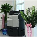 미르세무회계 이미지