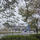 용산-현장-1575 | coldplay, dream, love love love (스탠딩 4000번대, 대구)