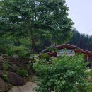 약초민박 이미지