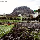 하늘조각휴양펜션 이미지