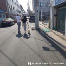 퀸스애견학교