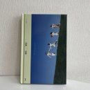 김태호 | 에세이추천 상처 위에 피어난 일상의 행복, 김태호작가 새피엔딩 후기