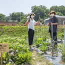 고현면경로식당 이미지