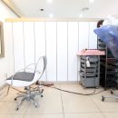 가모미모