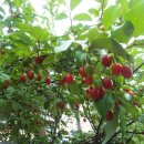 GO 당구클럽 이미지