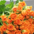 군산장례식장 이미지