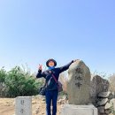 정렬대로 | 창원 천주산 등산코스 및 다녀온 후기