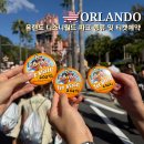 뉴욕PC클럽 | 올랜도 디즈니월드 티켓 예약 종류 파크호퍼 꿀팁