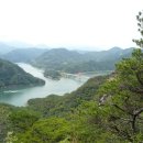 자연-이미지 이미지