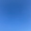 썸바디독스 이미지