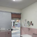 [내돈내산] 부산 동래 비건베이커리 모몽비베이커리 (몽찌샌드, 몽슈샌드, 크림푸딩) 솔직후기
