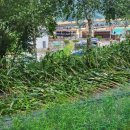 소주고개농장 이미지