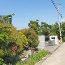 김가네부동산중개 이미지