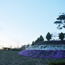 마이산LPG충전소 이미지