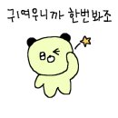 엘플로어 이미지