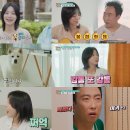 돌고래하우스 이미지