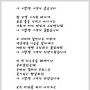 빨강머리 - 원주시 | 빨강머리