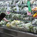 Korea faces mounting inflationary pressure 중동분쟁으로 한국 물가상승 압력 심화 이미지