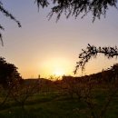 보은장모텔 이미지