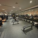 피트니스 인앤스타 이미지