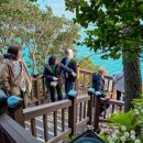 오동도 바람골 이미지