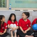 태양태권도장 이미지