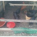 가는골농장 이미지