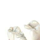 허브치과의원 이미지