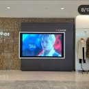 [인별] 뮤지컬 로미오와줄리엣 광고대행 (코엑스몰＜--＞현대백화점 DS / 도심공항 2층 DS) 이미지