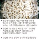 청일유기식품