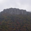 서광농장 이미지