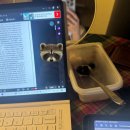 2594 | 2594) 카톡 업데이트 신고, 카톡 업데이트 다운그레이드, 카톡 업데이트 취소