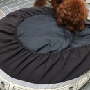 서비스세탁 이미지