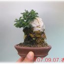 석부농장 이미지