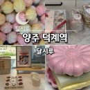 달시루 | 양주 덕계역 떡집 달시루 답례떡 후기｜돌·답례품으로 인기인 이유
