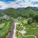 산골밥상 | 경북 영양 산골 마을 밥상 체험기: 자연을 먹는다는 것의 의미