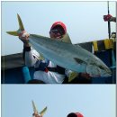 울진왕돌초 이미지