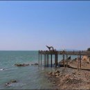 종현어촌체험마을 이미지