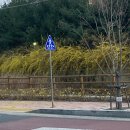 파리바게뜨대구목련점 | 본론 9
